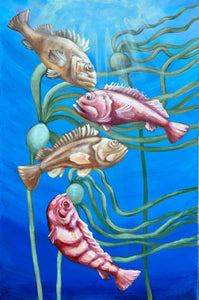 Rockfish In The Coastal Kelp Original Art